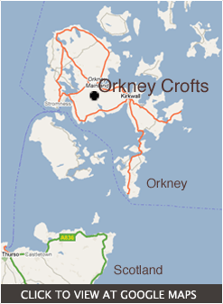 Orkney Crofts on Google Maps